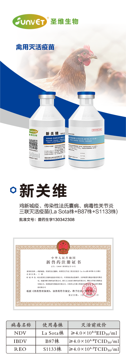 新关维(1).png