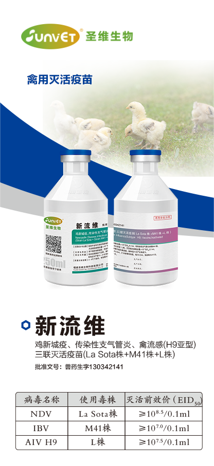 887b20dd7fb9f951c2f7e1e6fa07ea16.png 新流维(1).png