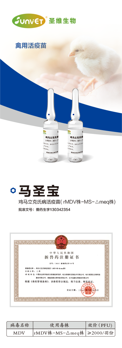 马圣宝(1).png